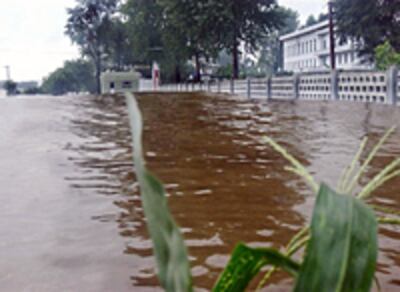 nk_flood-200.jpg