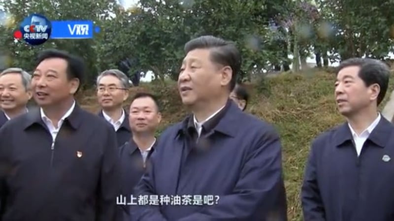 2019年9月16日,正在河南考察调研的习近平来到光山县司马光油茶园,察看当地产业脱贫工作成效。(视频截图)