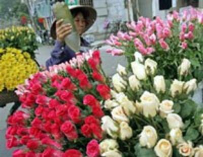 FlowerMarket200.jpg