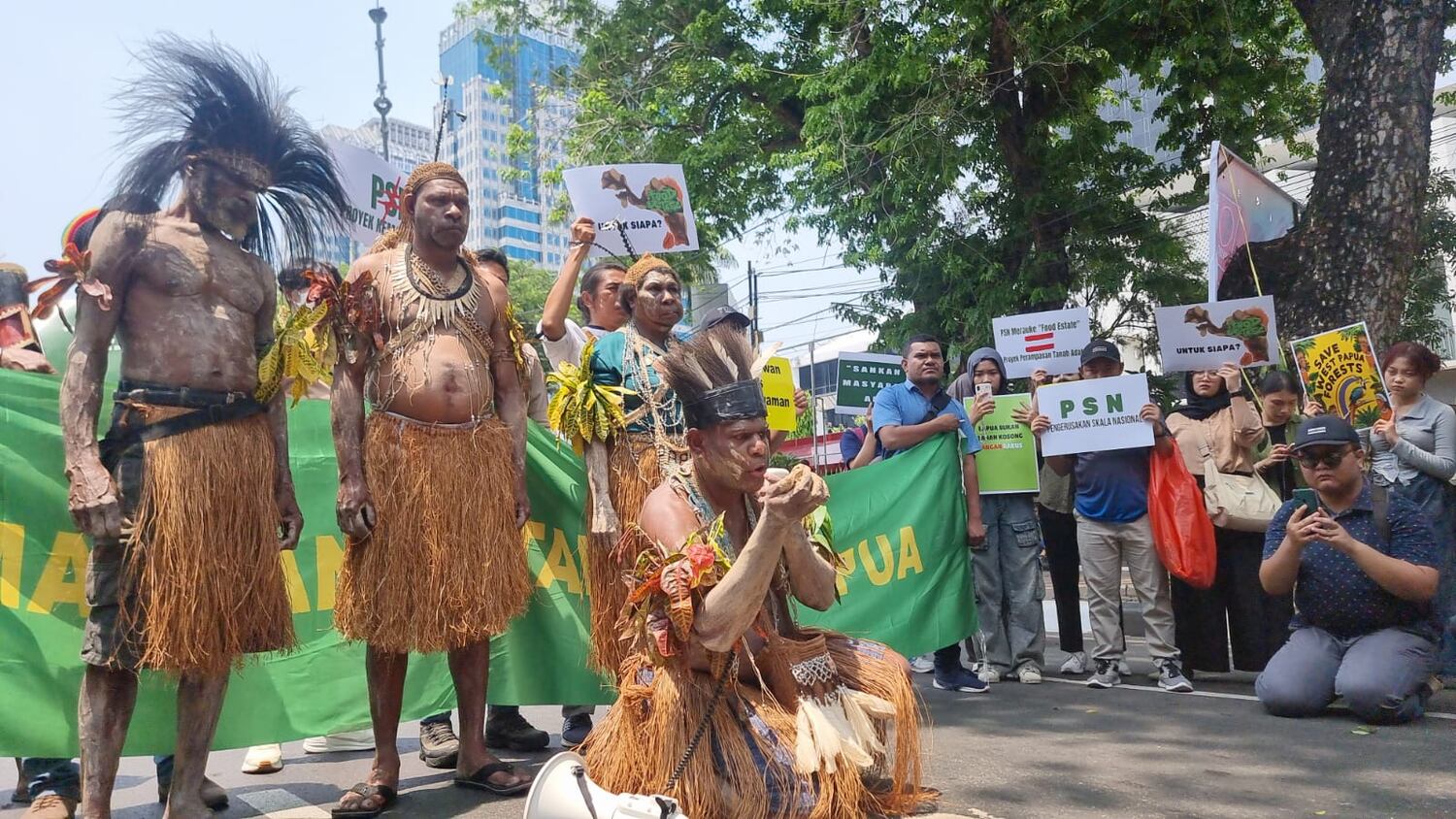 Warning by Indonesian survey on Papua mega project appears to go unheeded