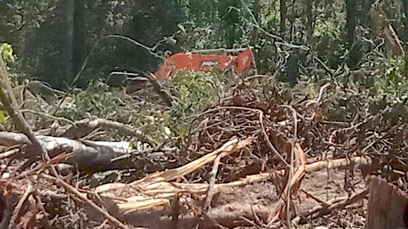 Excavator_of_SANTANA_Company_is_seen_clearing_Chi_Ork_forest_of_Rovieng_Preah_Vihear_proince_110322_001.jpg