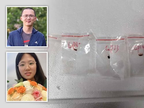 涉走私有害真菌入境美國中國科研情侶遭起訴– RFA 自由亞洲電台粵語部