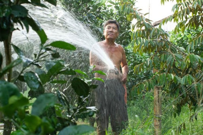 Ông Sáu Đen, thành viên trong Tổ tự quản số 1. Đất cồn rất màu mỡ, trồng cây gì cũng tươi tốt