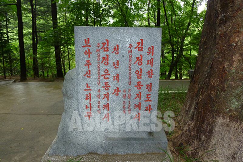 '김정일 동지, 김정은 동지가 보아주신 느티나무'라고 명문이 적힌 비석. 2011년 6월 강원도 원산농업대학에서 촬영. 사진-아시아프레스 제공