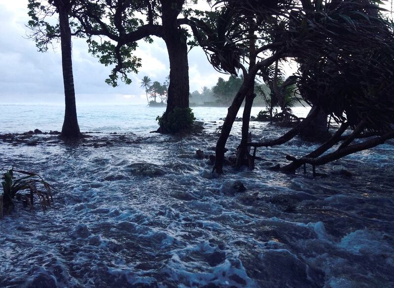 ENG_ENV_ICJ VANUATU_10212024_2.jpg