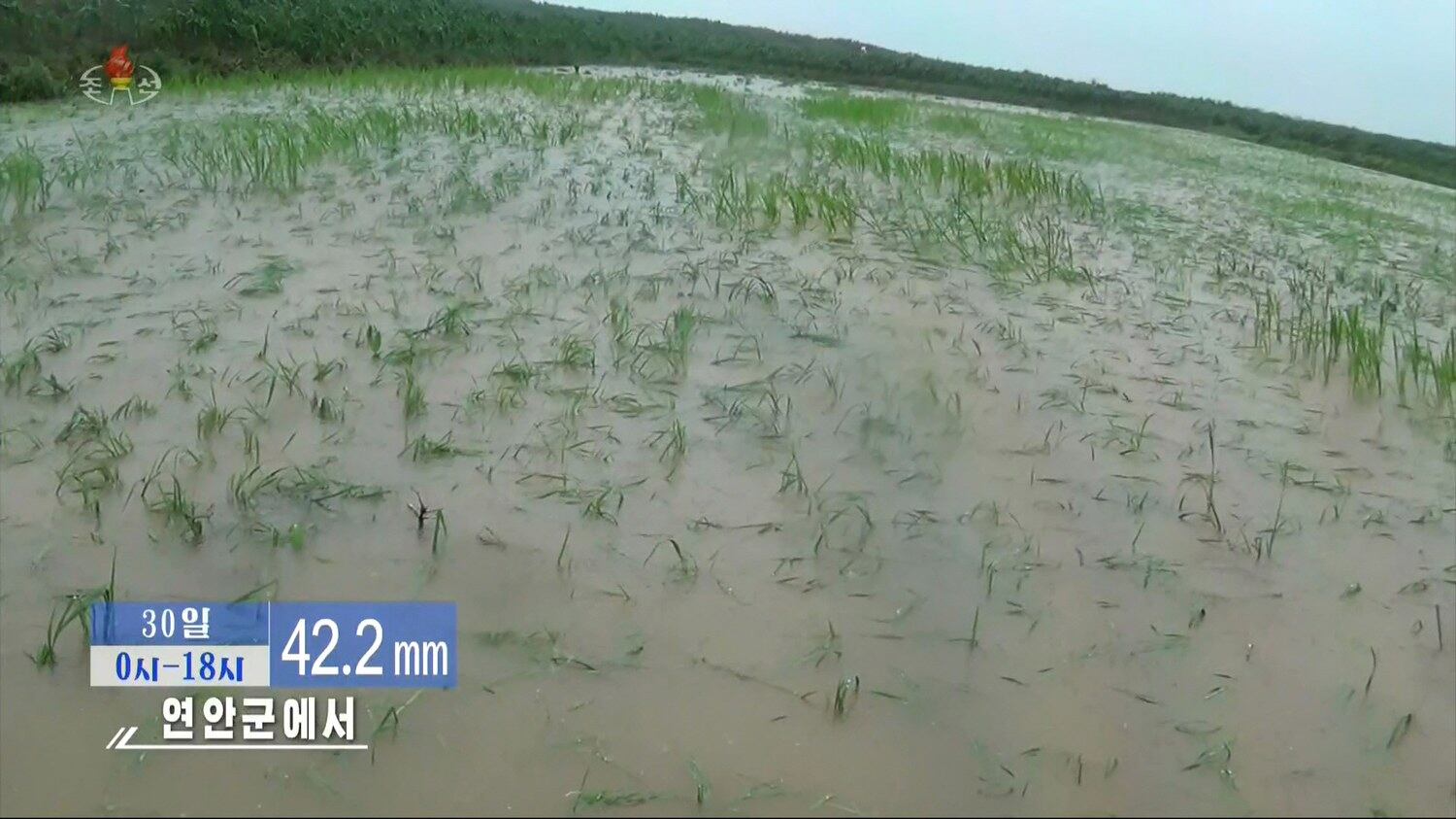 북한이 본격적인 모내기 철을 앞두고 기후 상황에 촉각을 곤두세우고 있다. 심각한 가뭄에 시달리는 북한에 최근 폭우가 내렸다.
