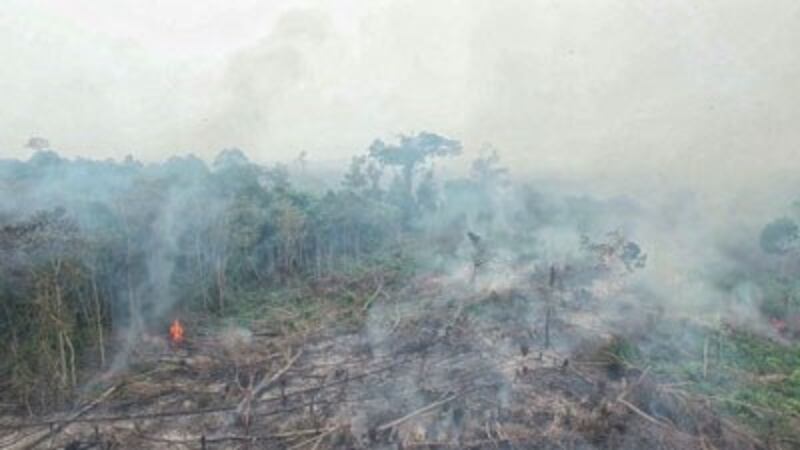 Quang cảnh cảnh rừng ở Indonesia ngày 8 tháng 10, 2015. AFP