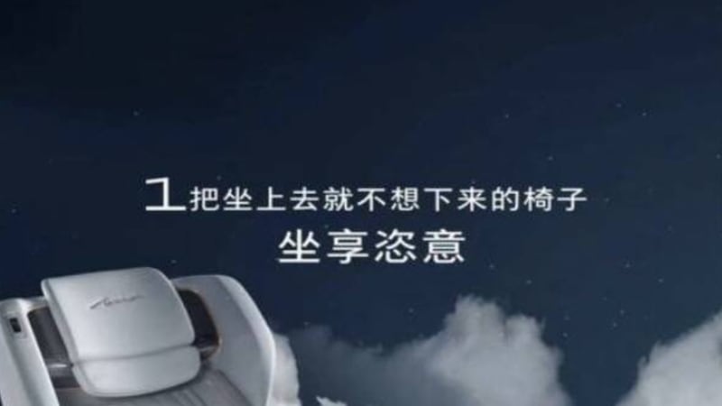 標域近日在中國發布一款新車,宣傳自家車上座椅非常舒適,「坐上去就不想下來」。(網絡圖片)