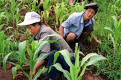nk_farmers-200.jpg