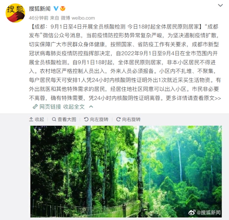 搜狐新聞在報道成都封城時,選了張「熱帶雨林」配圖。(網絡截圖)