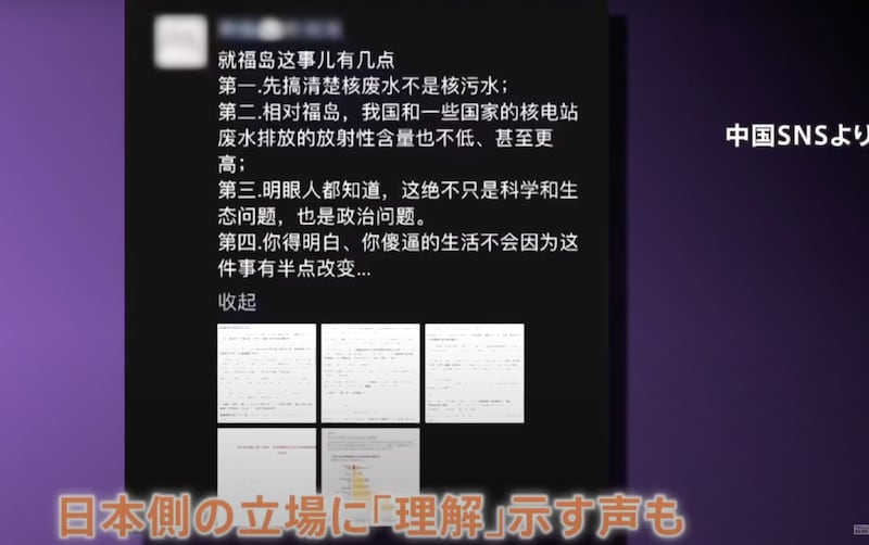 中國網民列點反駁中方觀點,可是發帖人很快被公司解僱。(TBS新聞截圖)