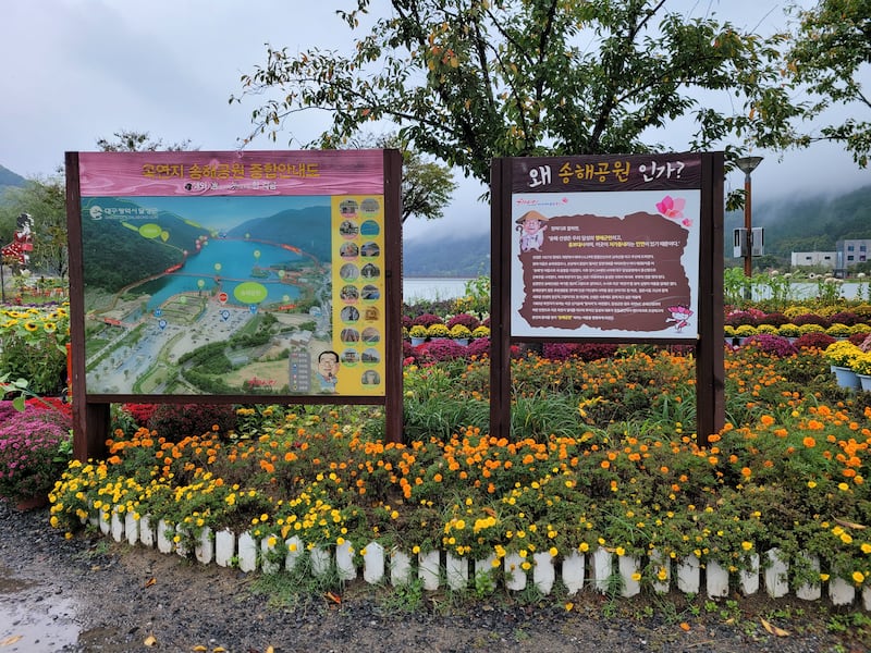 Songhae_Park2.jpg