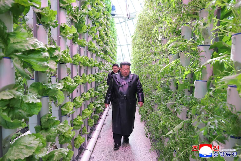 김정은 북한 국무위원장이 지난 2월 1일 새로 완공한 신의주온실종합농장을 시찰하는 모습 / 조선중앙통신