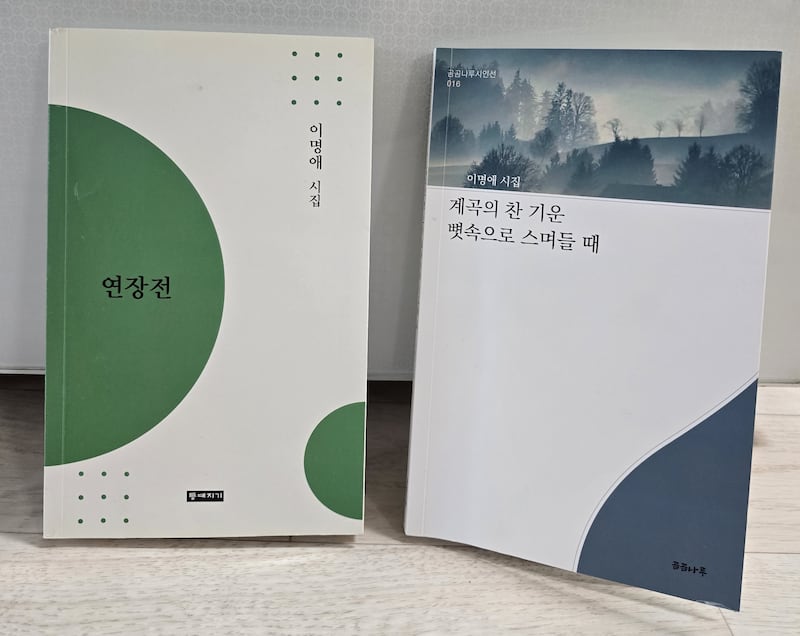 이명애 씨 발간 시집