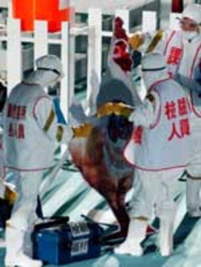 Taiwan_birdflu_150jpg.jpg