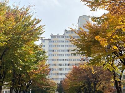 단풍.jpg