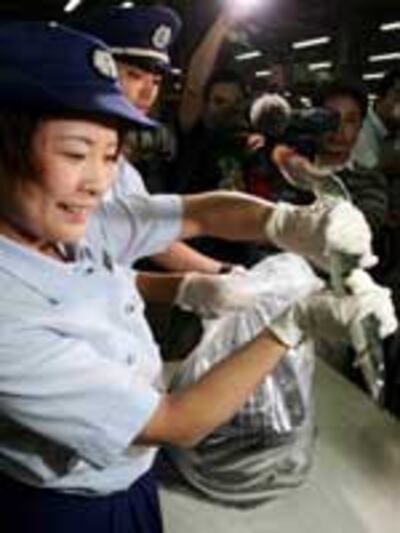 Japan_eel2005_150.jpg