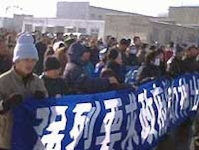 shengyang_ants200.jpg