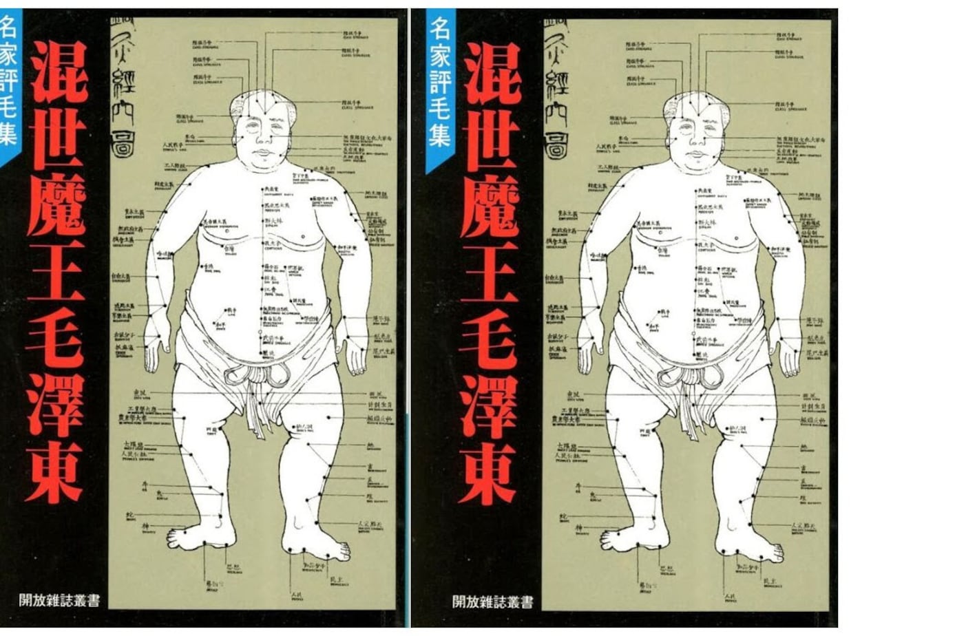 刘晓波《混世魔王毛泽东》