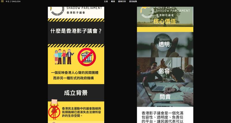 海外香港人宣布将成立＂香港影子议会＂（网站截图）