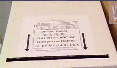 图片：写有中文的投票箱。（CK提供）