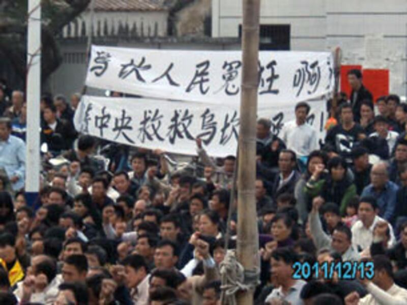 lufeng_weibo1_305.jpg