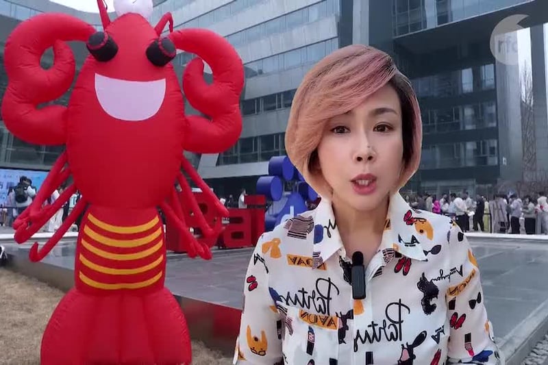 "龙虾”为何迅速退潮:中国政府的刹车真相?