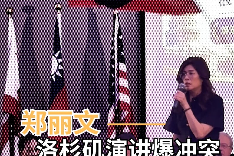 郑丽文洛杉矶演讲爆冲突 抗议者指遭暴力对待
